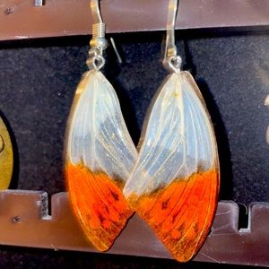 Butterfly wing earrings